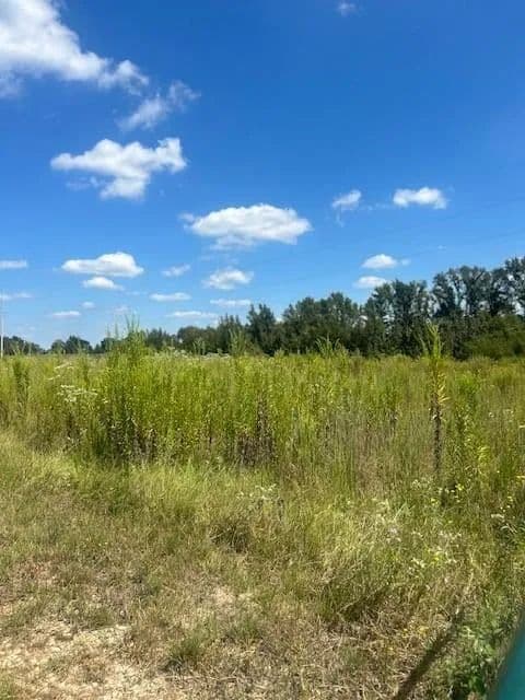 Vacant Land (10+ Acres) in Ben Wheeler - Ben Wheeler, Texas, 75754