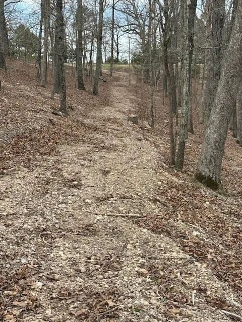 Land -Single Family Acreage in Eureka Springs - Eureka Springs, Arkansas, 72632