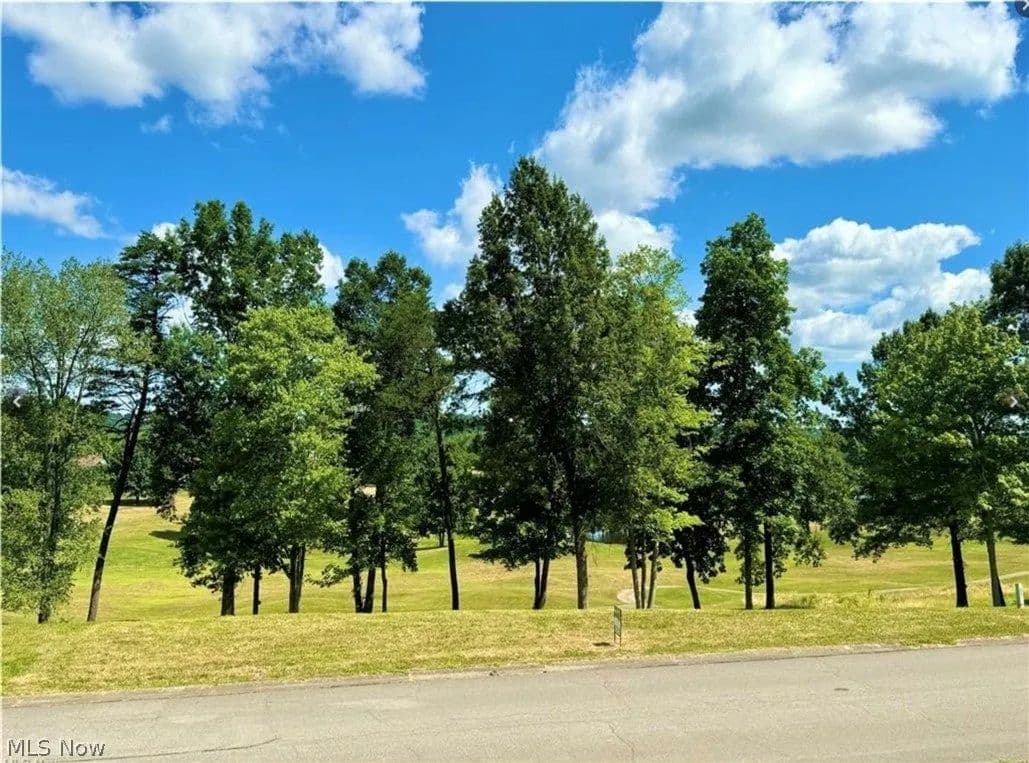 Lots & Land-Other in Mineral Wells - Mineral Wells, West Virginia, 26150