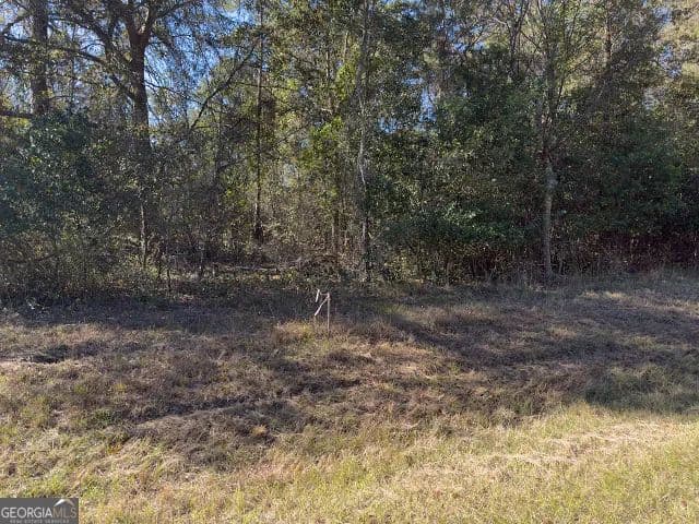 Vacant Land in Macon