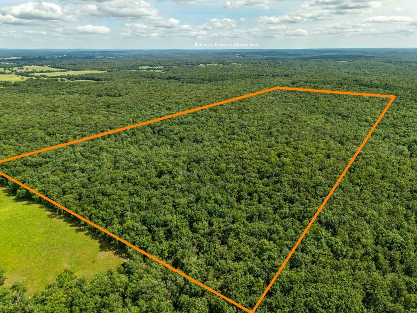 Fire Tower Road, Steelville, Crawford County, MO 65565 for Sale at Auction – Wepfer Property - Steelville, Missouri, 65565
