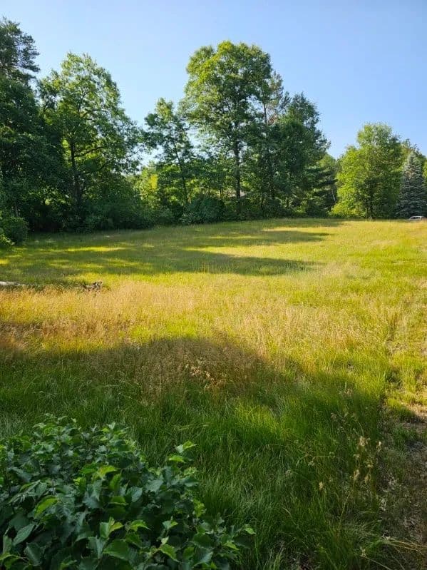 Vacant Land in Rome - Rome, Wisconsin, 54457