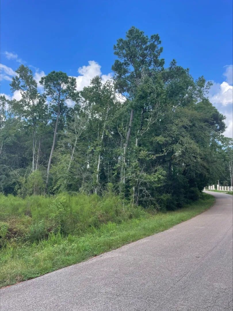 Magnolia Bend Lot - Conroe, Texas, 77302