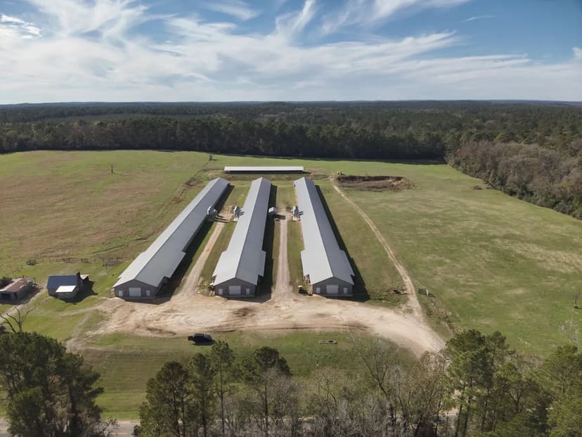 Caskey 3 Breeder Farm