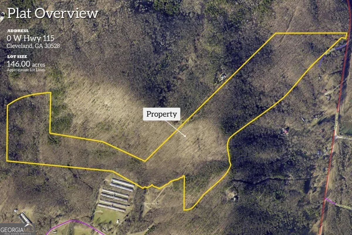 Vacant Land in Cleveland - Cleveland, Georgia, 30528