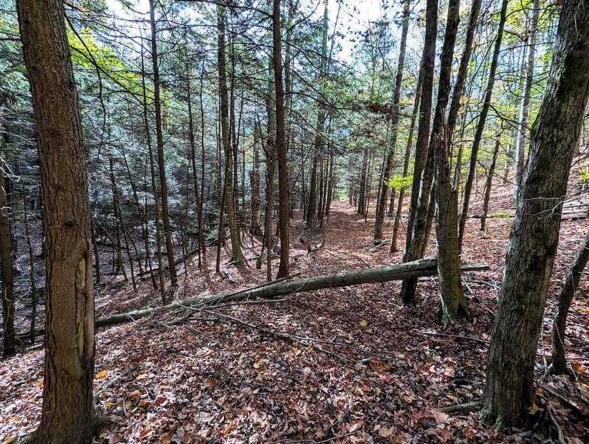 9 acre Wooded Recreational Lot with Streams in Cohocton NY Akins Rd