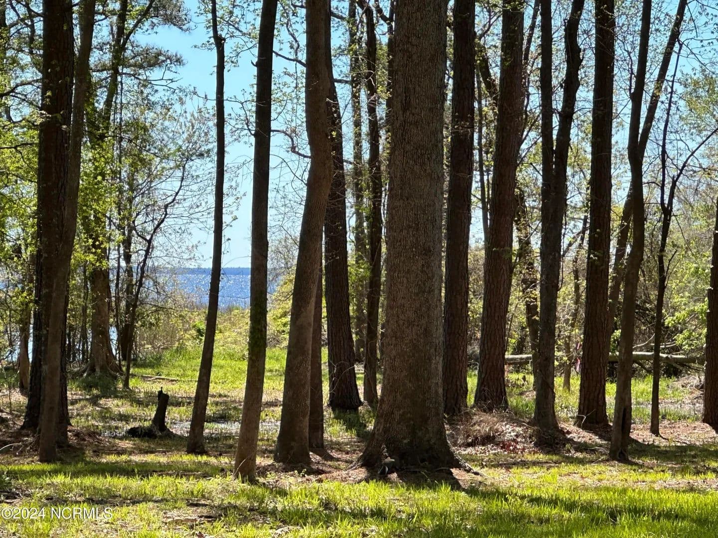 Vacant Land in Bath - Bath, North Carolina, 27808