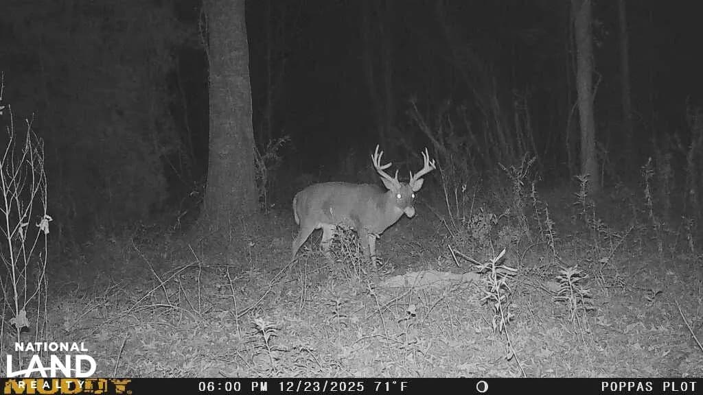 Vidalia Wildlife Property - Vidalia, Louisiana, 71373