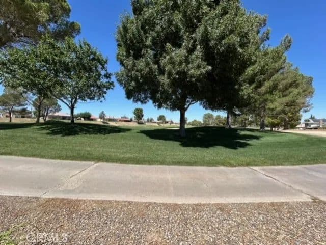 Vacant Land in Helendale - Helendale, California, 92342