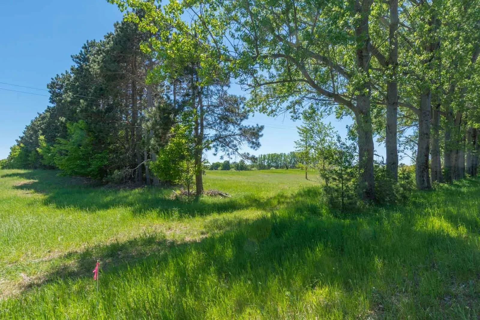 10 Acres of Land for Sale in Cleveland Twp, MI - Michigan, 49664