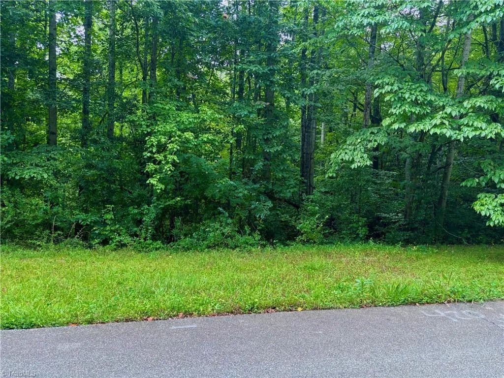 Vacant Land in Pfafftown - Pfafftown, North Carolina, 27040