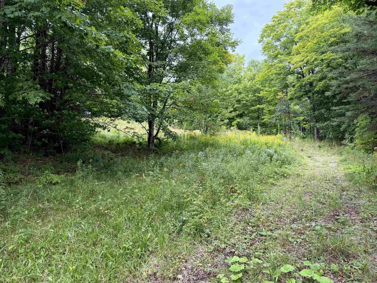 Lots & Land-Other in Sutton - Sutton, Vermont, 05867