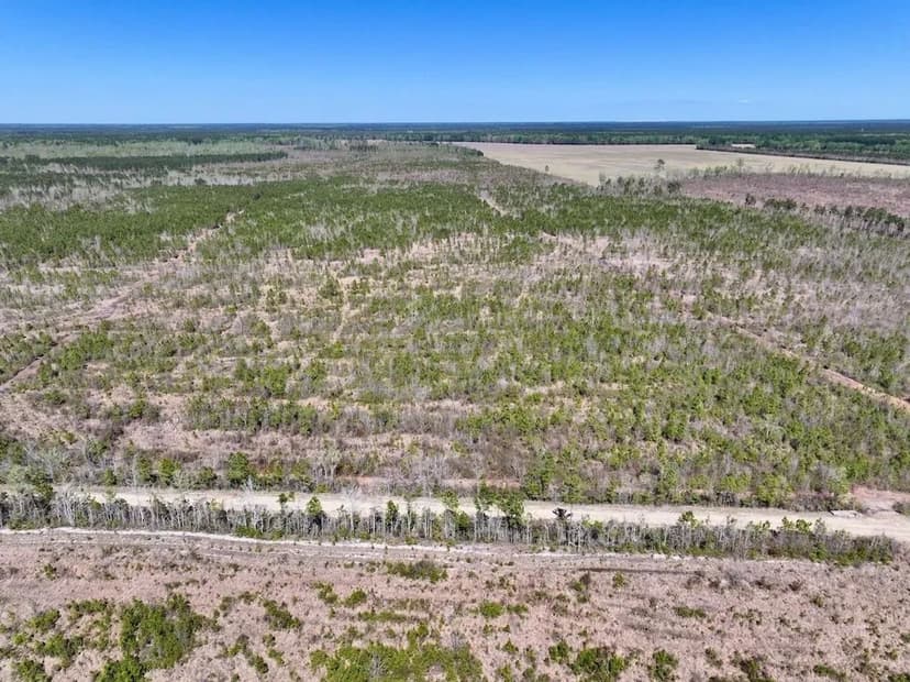 35 acres of Recreational Timberland For Sale in Craven County!