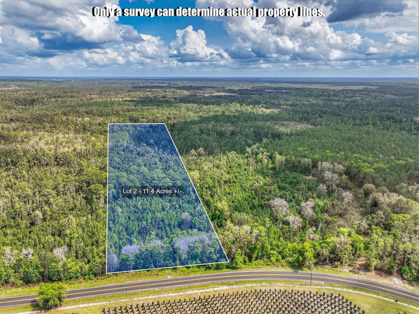 Vacant Land (10+ Acres) in Crescent City - Crescent City, Florida, 32112
