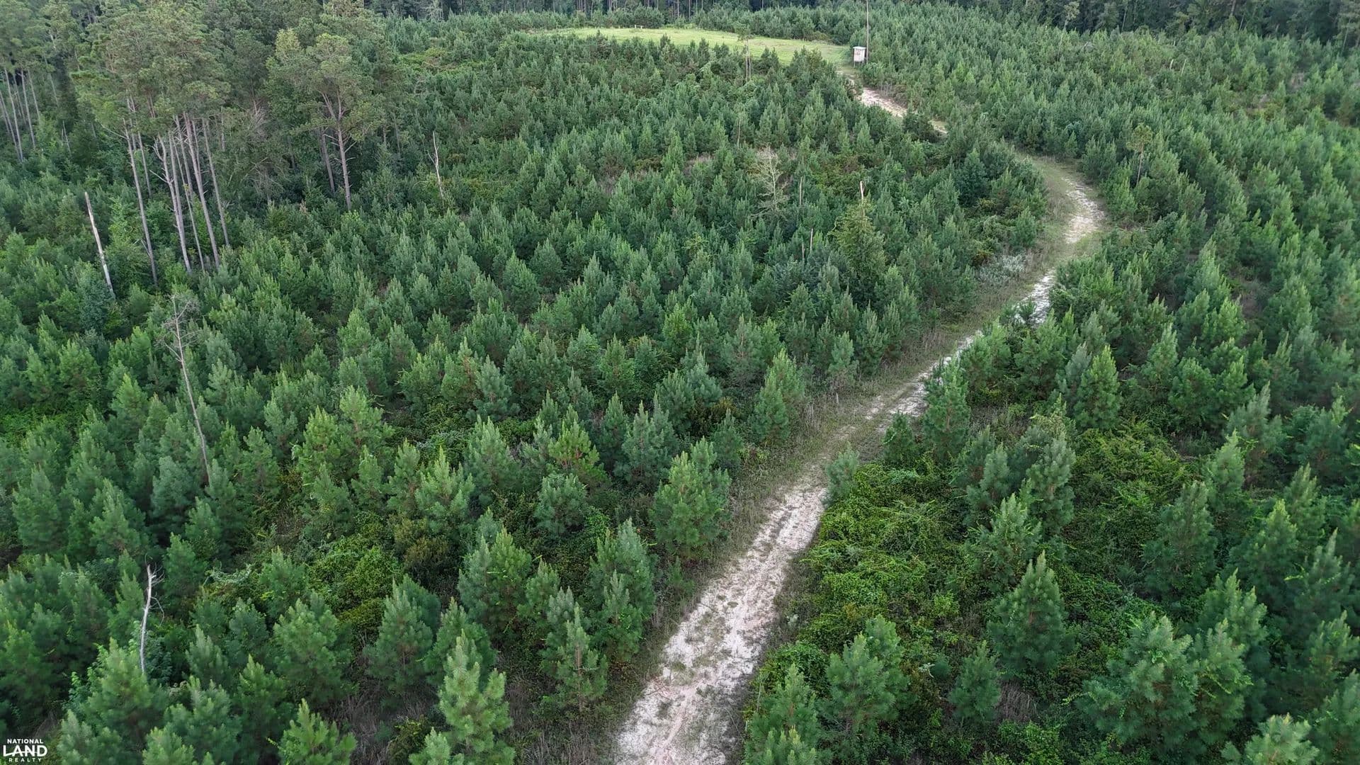 Lauderdale 197 – Prime Timberland & Recreational Tract - Lauderdale, Mississippi, 39335