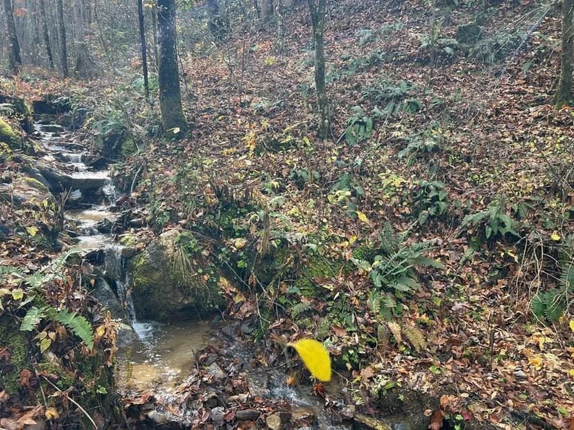 Property from 00 Battle Branch Rd - KW