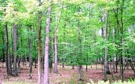 Lots & Land-Other in Hazleton - Hazleton, Pennsylvania, 18202