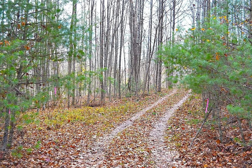 Lots & Land-Other in Jumping Branch