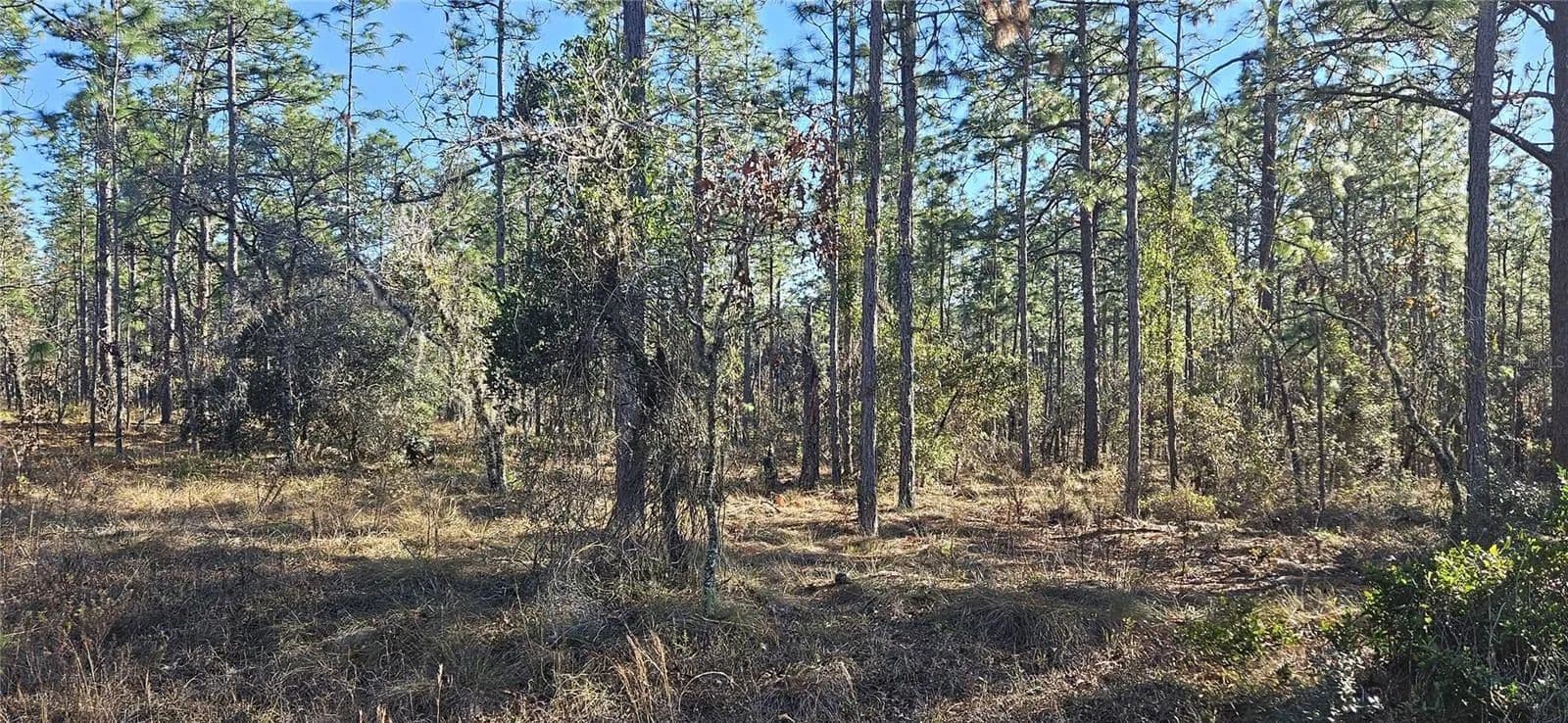 Lots & Land-Other in DUNNELLON - Dunnellon, Florida, 34431