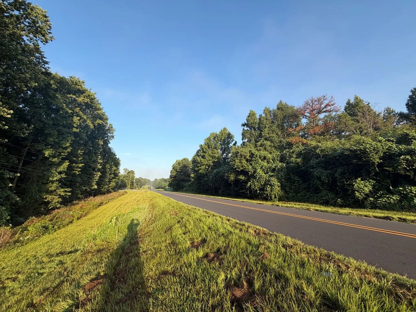 4.3 +/- Acre Commercial Opportunity in Dadeville, Tallapoosa County, AL - Dadeville, Alabama, 36853