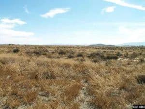 Lots & Land-Other in Silver Springs