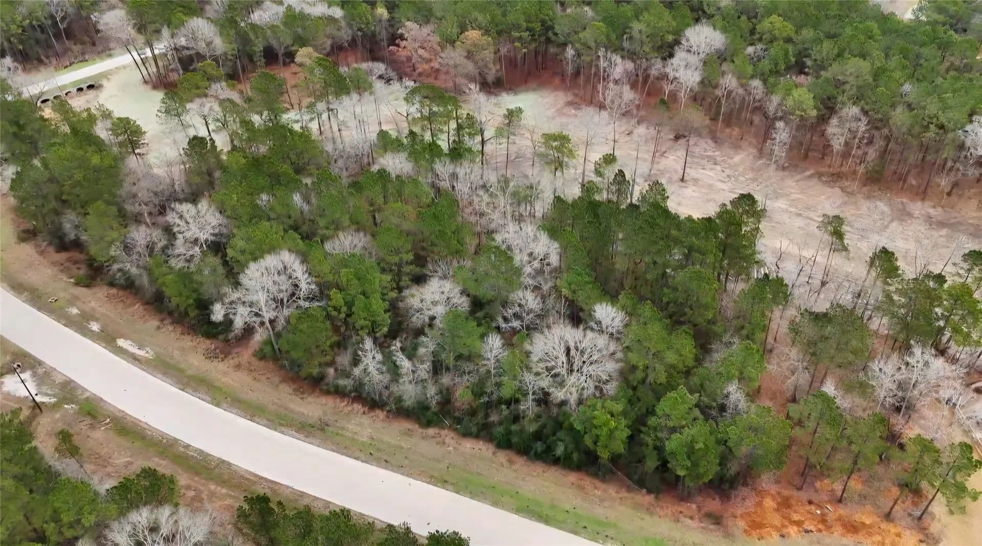 Vacant Land in Huntsville - Huntsville, Texas, 77340