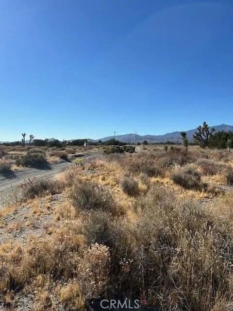 Vacant Land in Pinon Hills - Pinon Hills, California, 92372