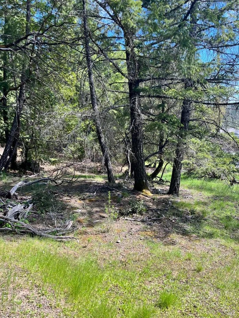 Lots & Land-Other in Willits