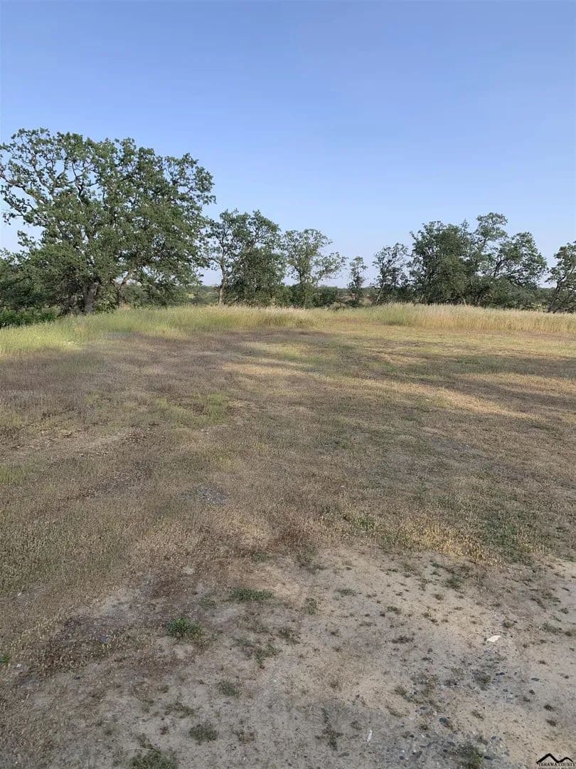 Vacant Land (0-10 Acres) in Corning - Corning, California, 96021