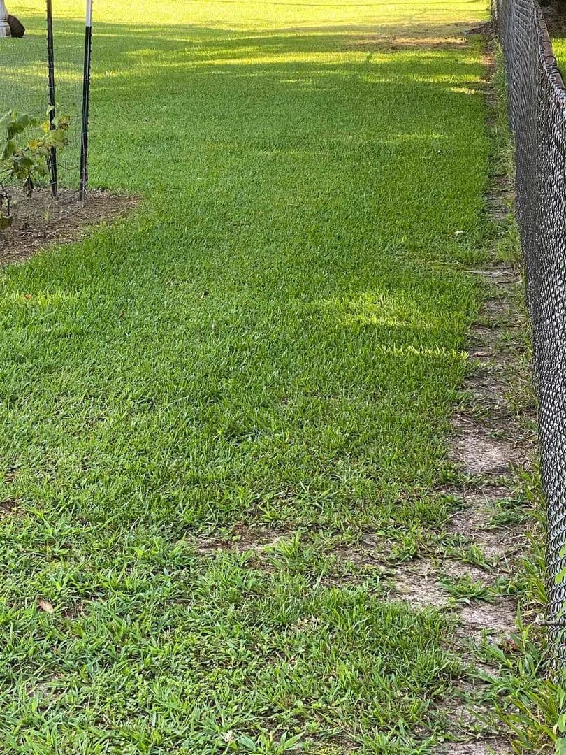 Lots & Land-Other in Conway