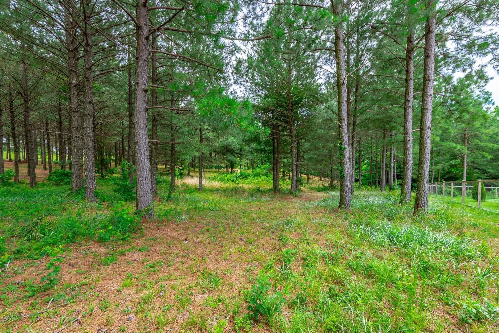 Lots & Land-Other in Jasper - Jasper, Tennessee, 37347