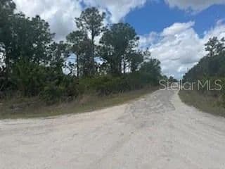 Vacant Land in Punta Gorda - Punta Gorda, Florida, 33982