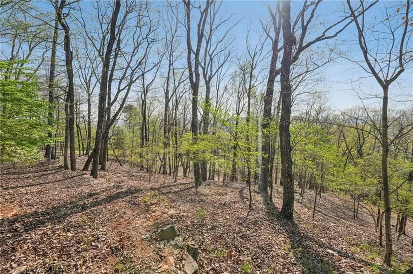 Land -Single Family Acreage in Big Canoe