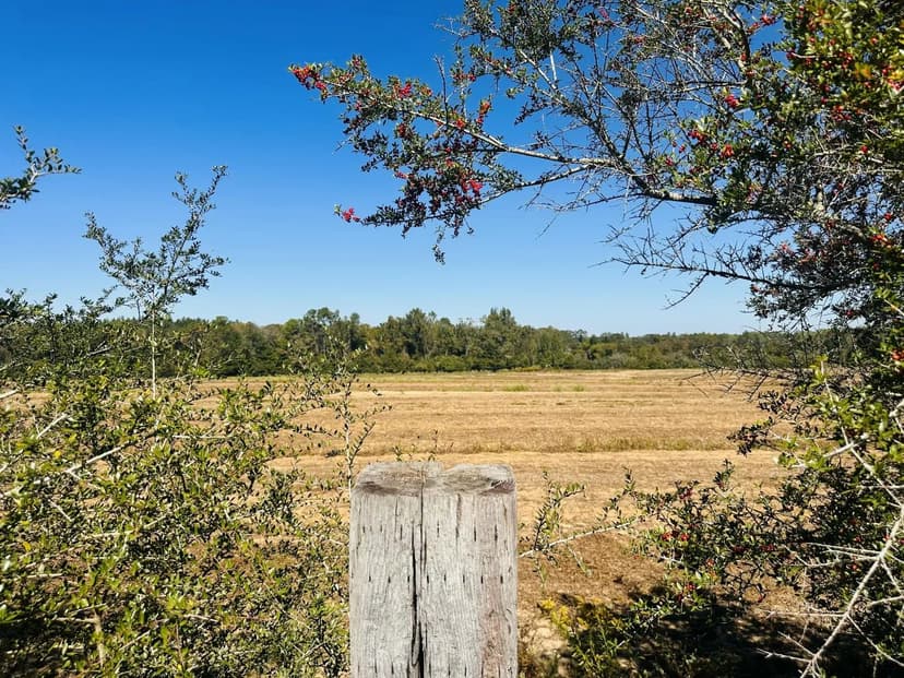 Vacant Land in Bonifay