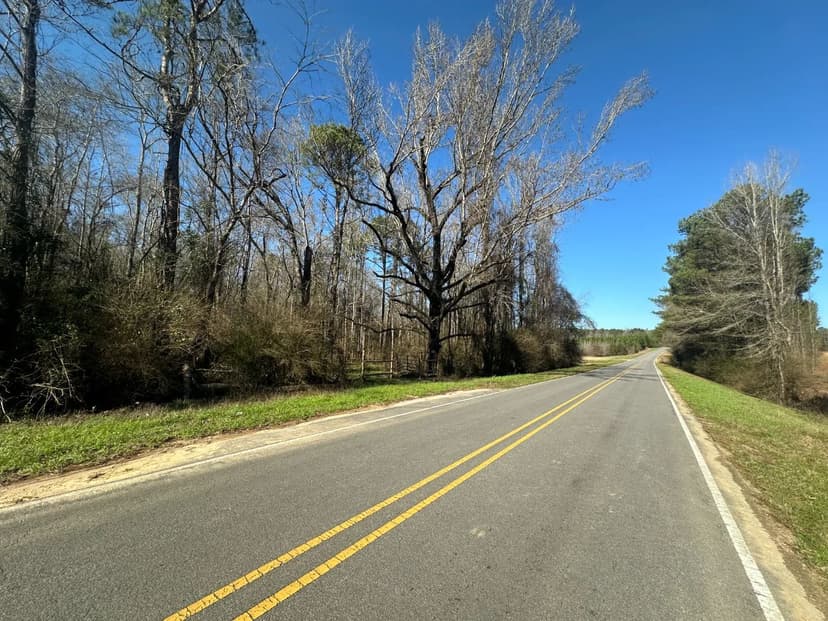 43 Acres in Lawrence County, MS 
