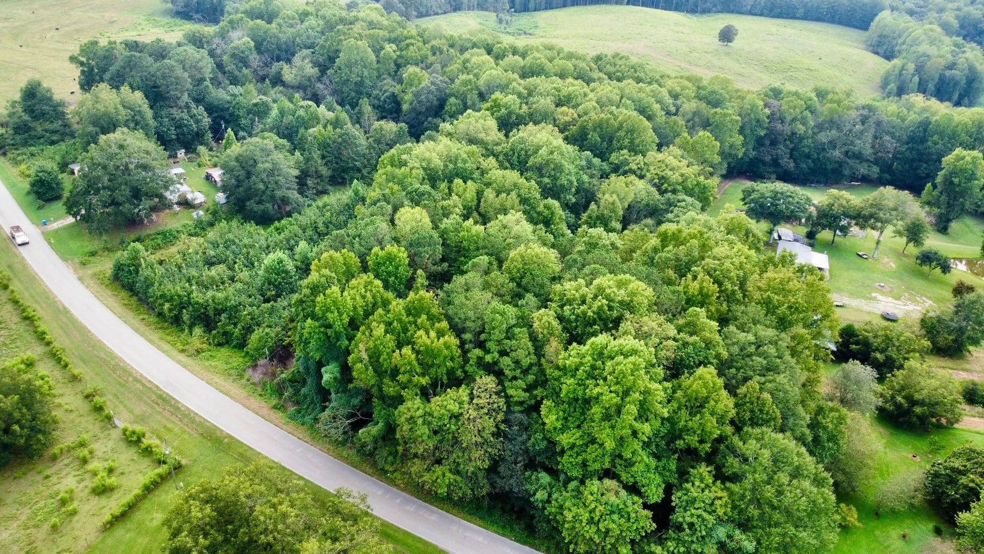 10 +/- Acres in Graham, AL - Graham, Alabama, 36263