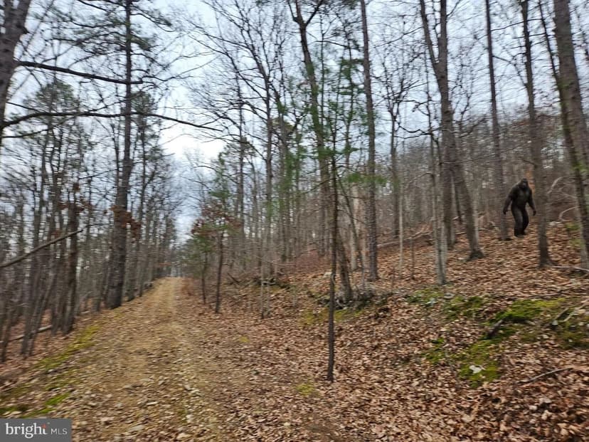 Vacant Land in Boyce