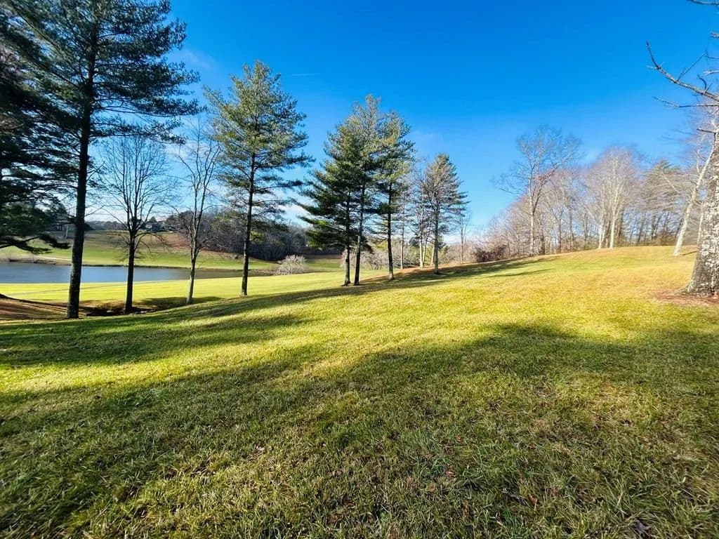 Vacant Land in Laurel Fork - Laurel Fork, Virginia, 24352