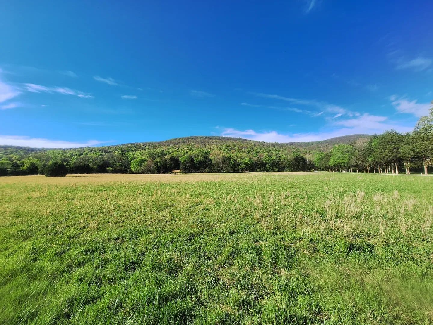 Vacant Land (10+ Acres) in Cowan - Cowan, Tennessee, 37318