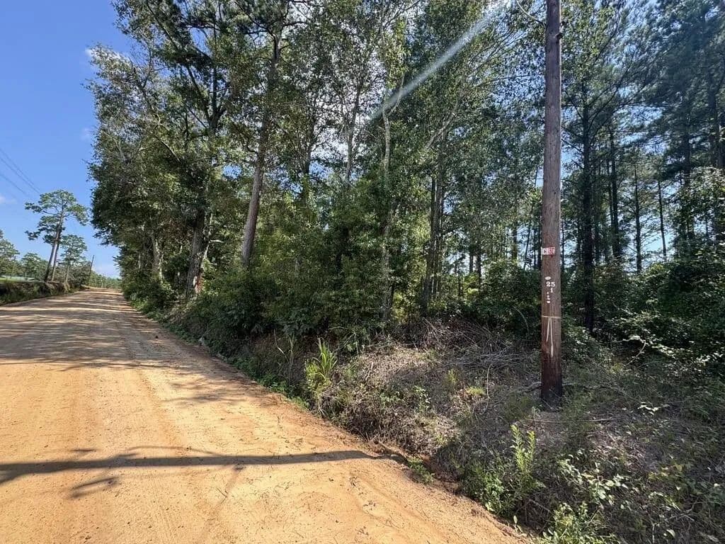 Lots & Land-Other in Climax - Climax, Georgia, 39834