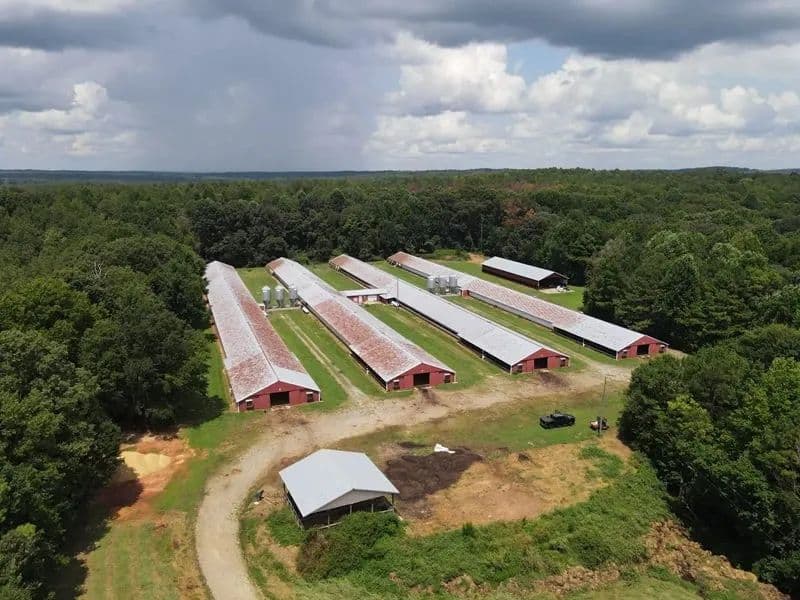 Stitcher Broiler Farm – Four House Farm in Carroll County, Georgia - Carrollton, Georgia, 30116