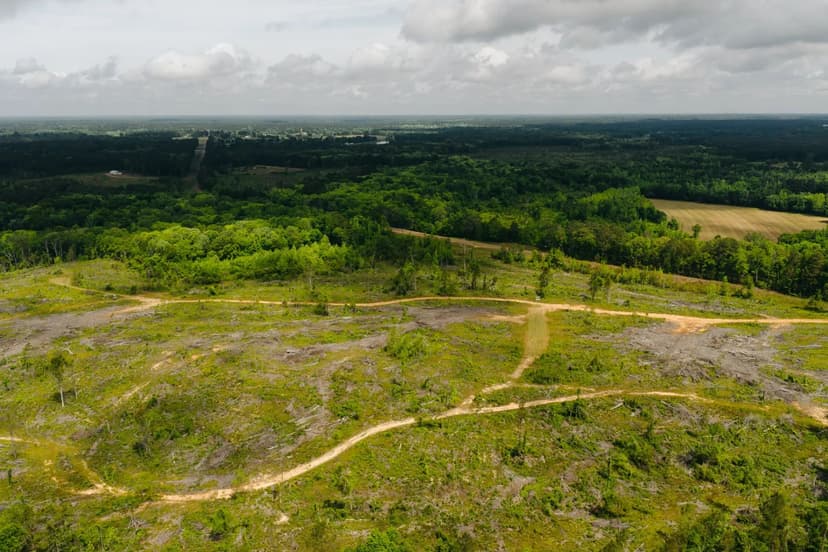12.5 Acres in Winston County, MS 