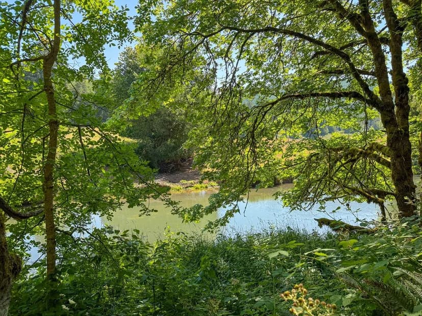 Cottage Grove River View