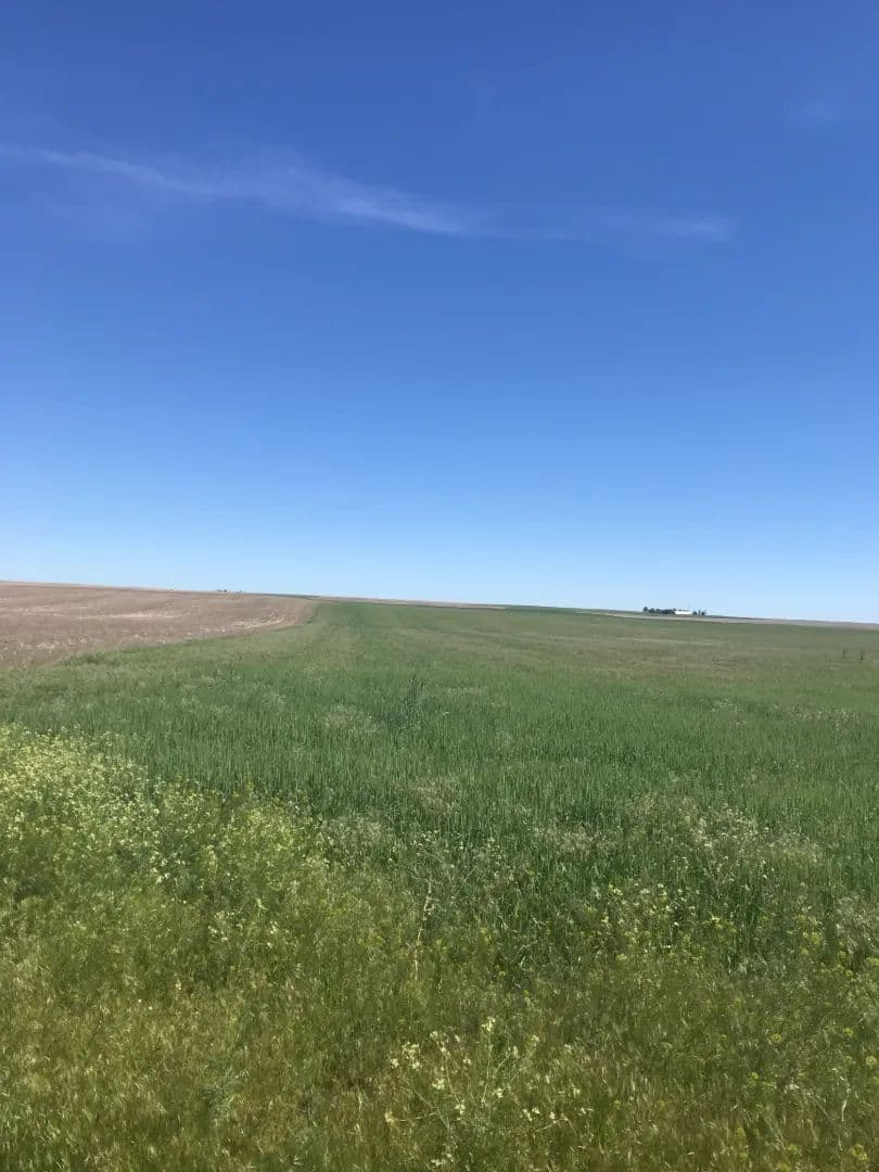 NW Cheyenne County Quarter Section