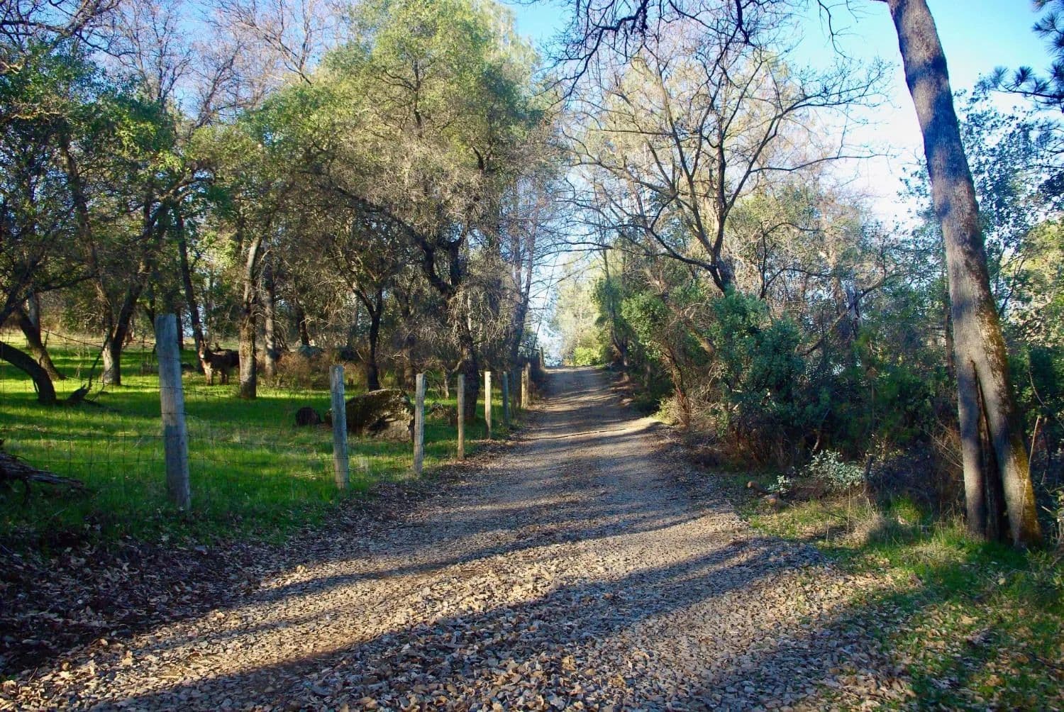 10 Acres of Land for Sale in Nevada City, CA - Nevada City, California, 95959