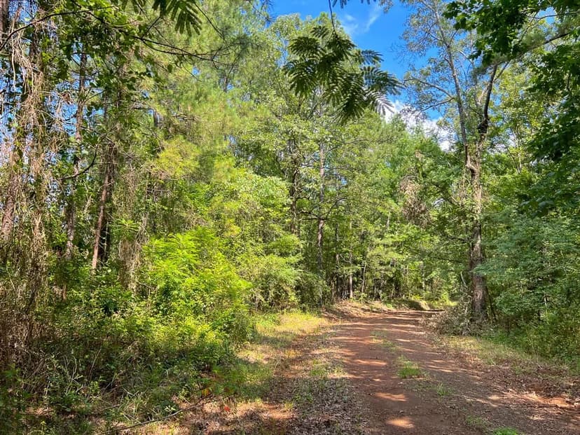 5 Acres | T-3 | Off Highway 21 | 1015