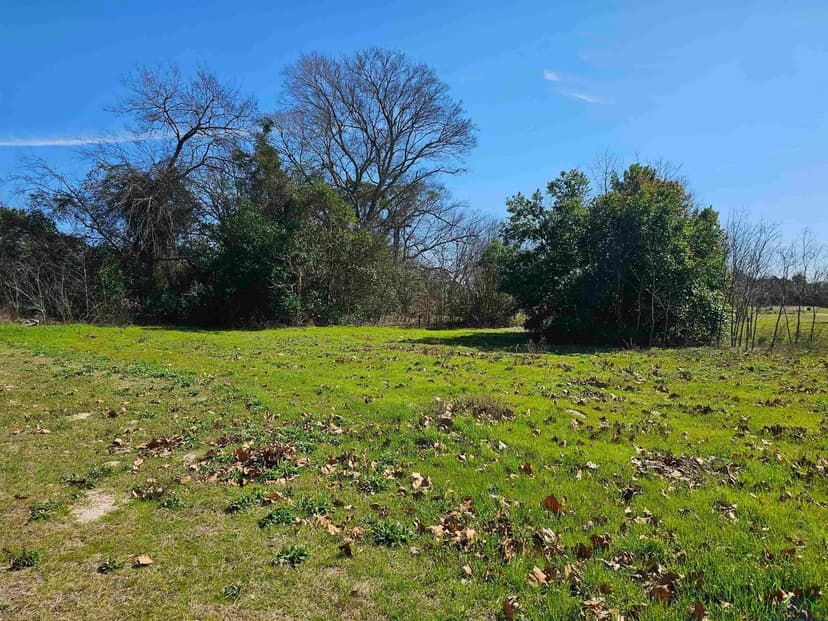 Vacant Land in Big Sandy