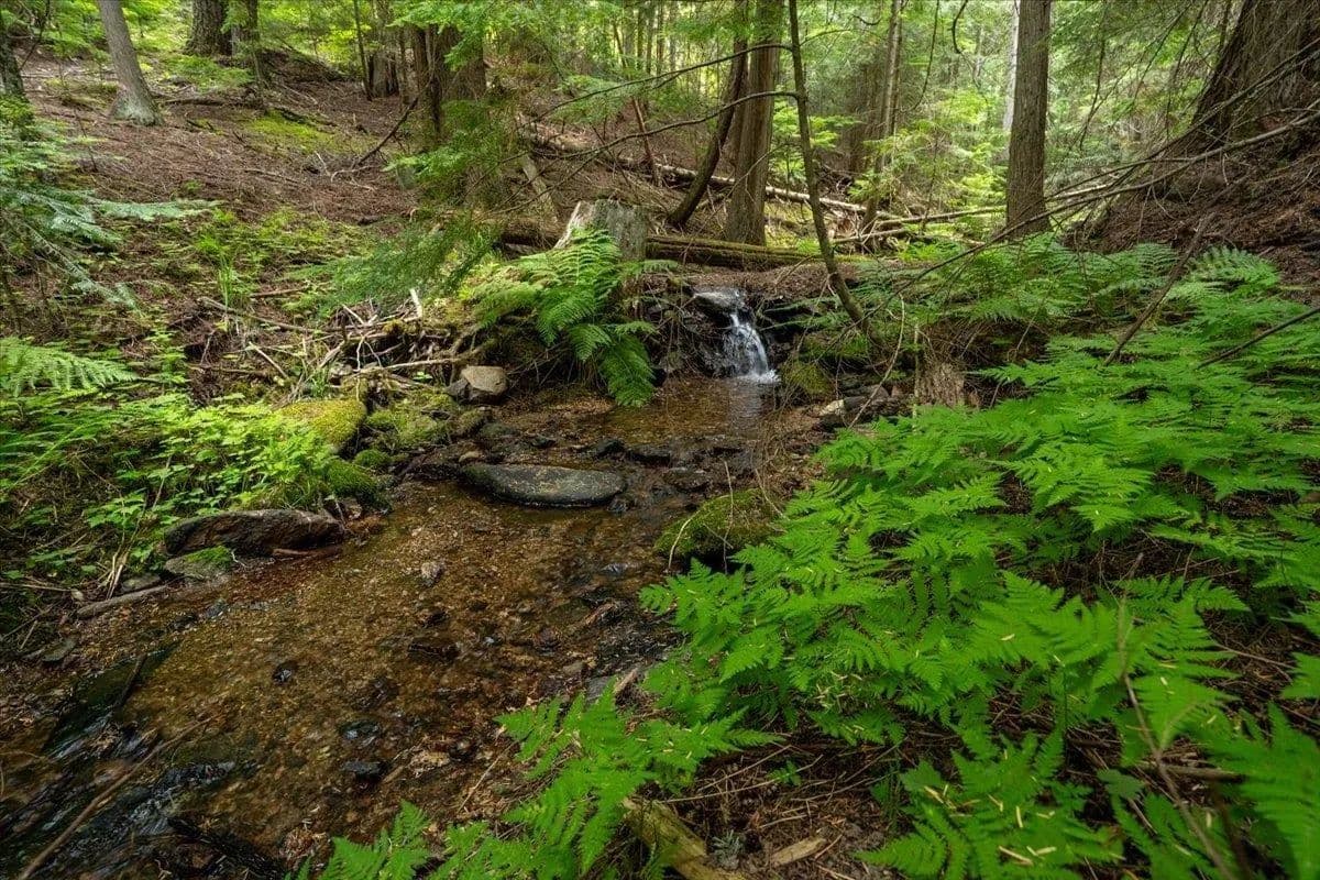 Vacant Land in Chattaroy - Chattaroy, Washington, 99003