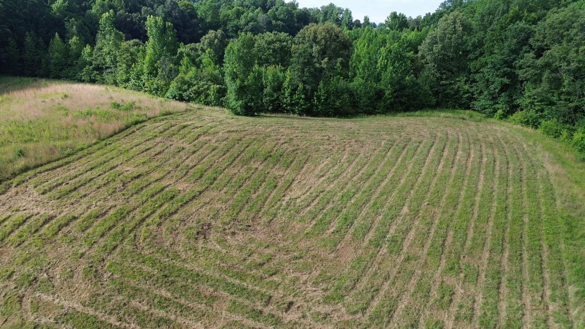 1.09 Acres of Land for Sale in Smithville, TN - Smithville, Tennessee, 37166