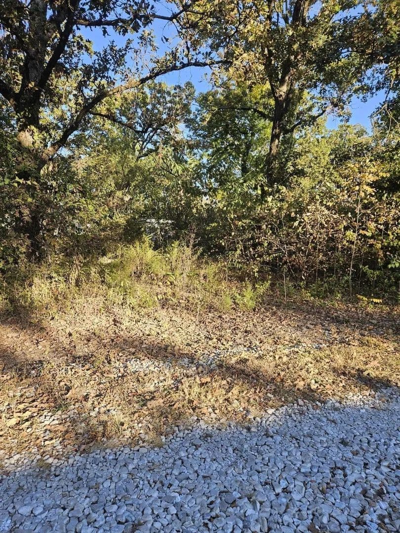 Lots & Land-Other in Pittsburg - Pittsburg, Missouri, 65724